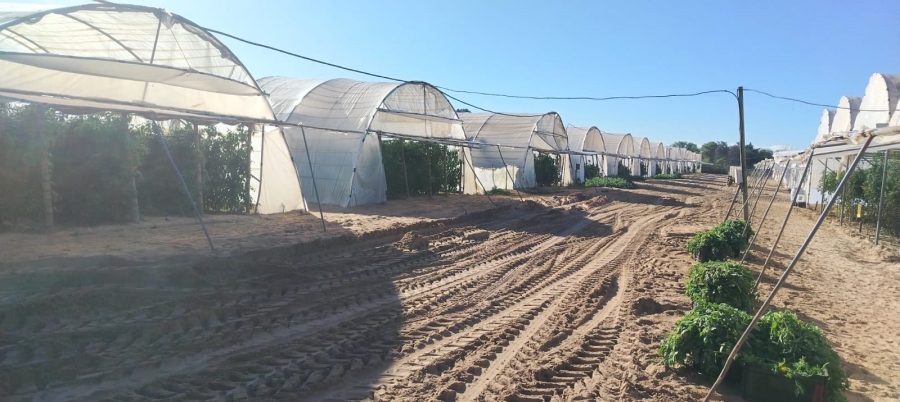 3 Bedroom Property for Sale in Tierfontein AH Western Cape